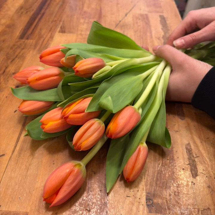 Dozen Tulips