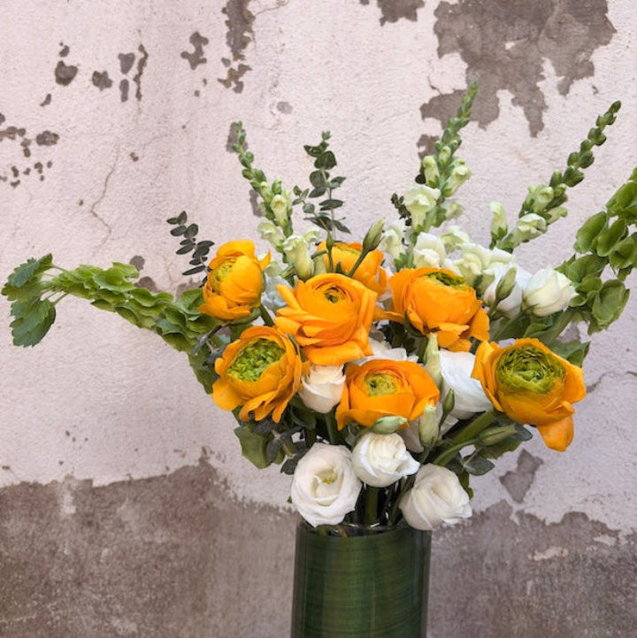 Daydream - Spring Bloom