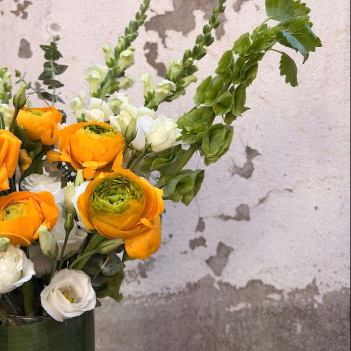 Daydream - Spring Bloom