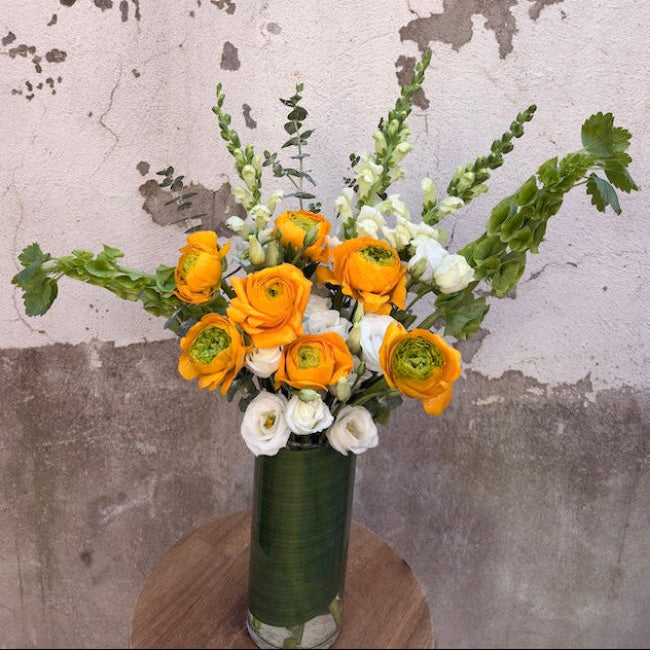 Daydream - Spring Bloom