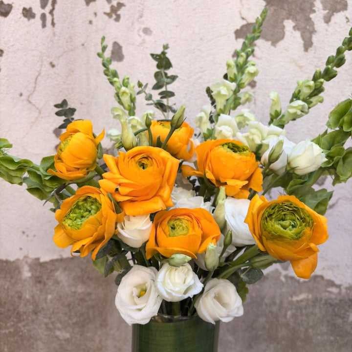 Daydream - Spring Bloom